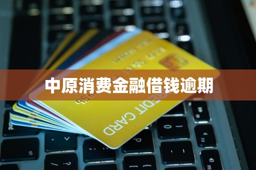 中原消費金融逾期借款催收流程解析 金融機構委托第三方處理的影響與應對